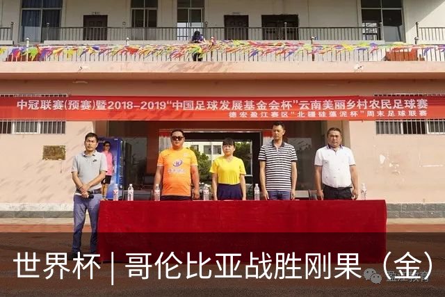 世界杯 | 哥伦比亚战胜刚果（金）提前晋级淘汰赛