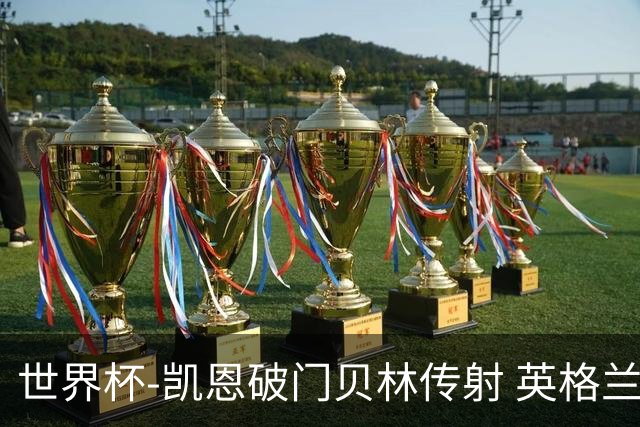 世界杯-凯恩破门贝林传射 英格兰2-0巴拿马小组第一