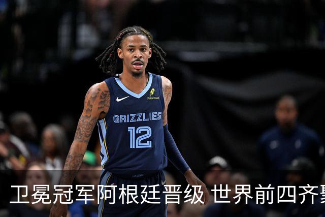 卫冕冠军阿根廷晋级 世界前四齐聚世界杯四强