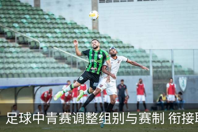 足球中青赛调整组别与赛制 衔接职业联赛